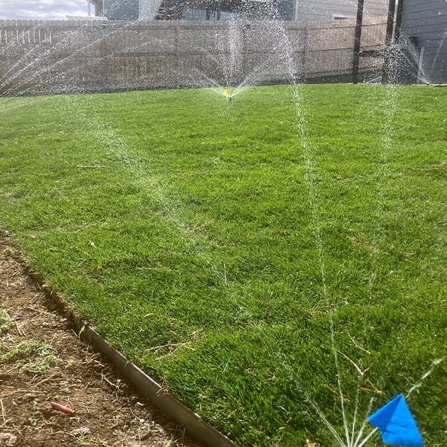 sprinklers2